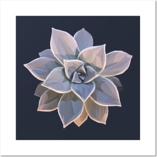 Geometrical Grey Succulent Posters and Art